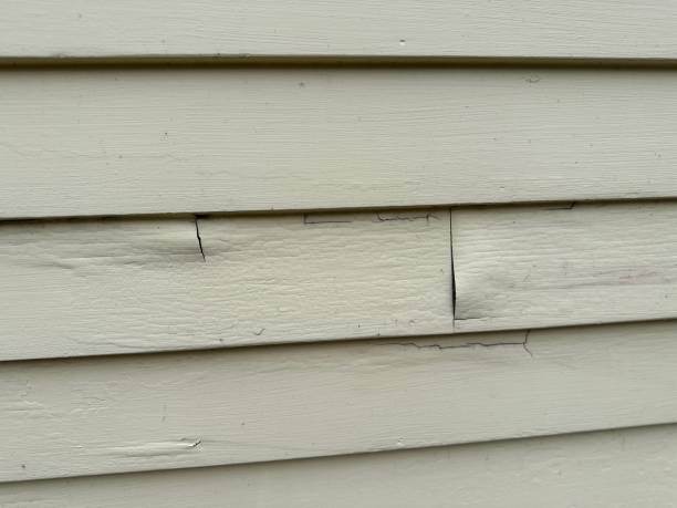 Best Construction Debris Removal  in Bethany, MO